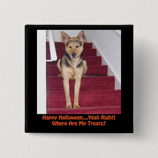 Halloween Dog en geen behandelingen Vierkante Button 5,1 Cm (Voorkant)