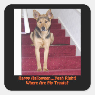 Halloween Dog en geen behandelingen Vierkante Sticker