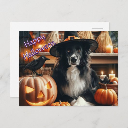 Halloween Dog en Jack O Lantern Feestdagenkaart (Voorkant / Achterkant)