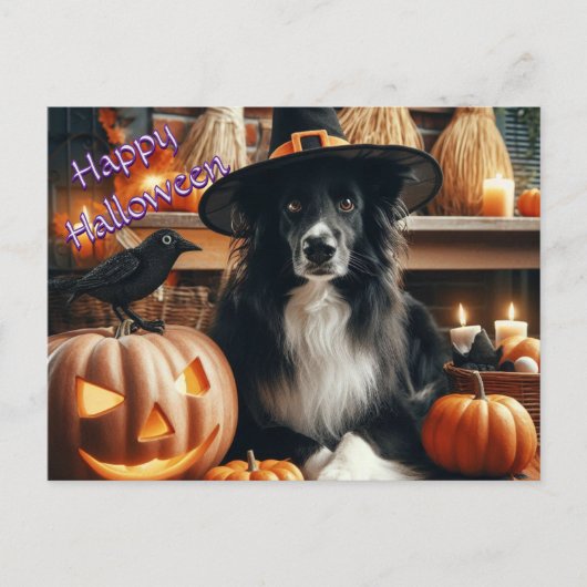 Halloween Dog en Jack O Lantern Feestdagenkaart (Voorkant)