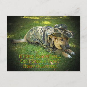 Halloween Dog in Camouflage Briefkaart