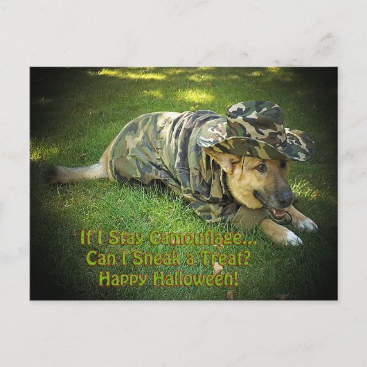 Halloween Dog in Camouflage Briefkaart (Voorkant)
