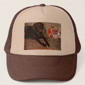 Halloween Dog met zoet tand Pet (Voorkant)