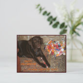 Halloween Dog met zoete tand Briefkaart (Staand voorkant)