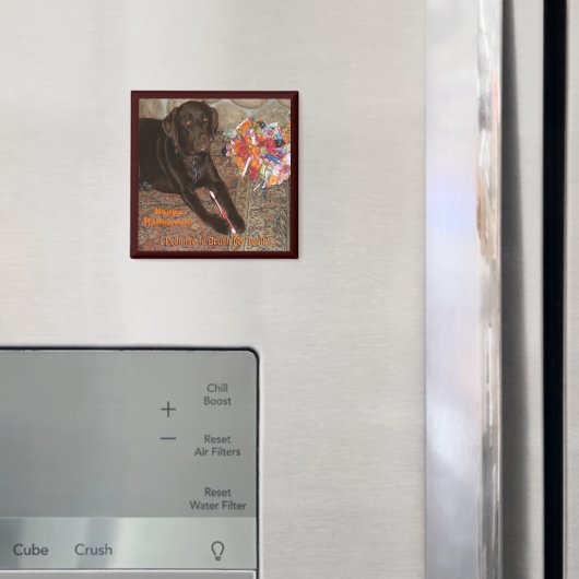 Halloween Dog met zoete tand Magneet (Insitu (Koelkast))