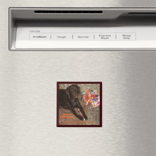 Halloween Dog met zoete tand Magneet (Insitu (Vaatwasser))