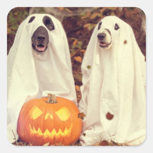 HALLOWEEN DOGS AS GHOSTS SQUARE STICKER (Voorkant)