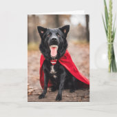 Halloween Dracula Hond Feestdagen Kaart (Voorkant)