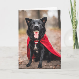 Halloween Dracula Hond Feestdagen Kaart