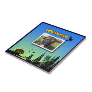 Halloween Dusk met heks Add Photo Lijst Tegeltje