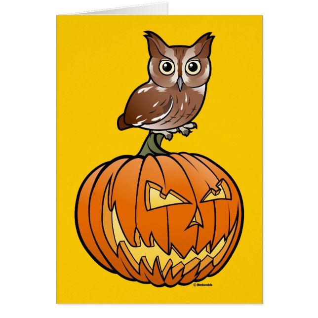 Halloween Eastern Screech Owl (Voorkant)