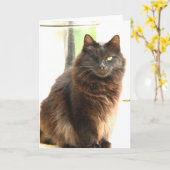 Halloween-één Eyed Zwarte Kat Kaart (Gele Bloem)