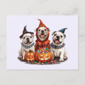 Halloween Engelse Bulldogs Pumpkin Briefkaart (Voorkant)