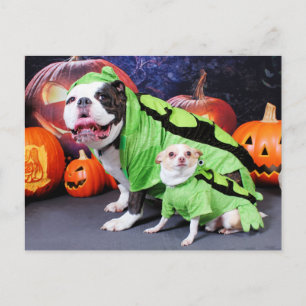 Halloween English Bulldog Spike - Chihuahua Gizmo Briefkaart