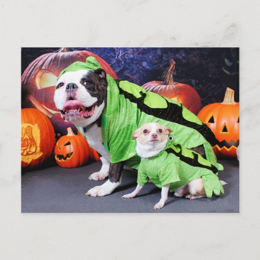 Halloween English Bulldog Spike - Chihuahua Gizmo Briefkaart (Voorkant)