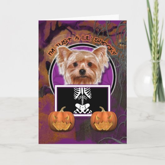 Halloween - enkel een Griezelige Lil - Yorkie Kaart (Voorkant)