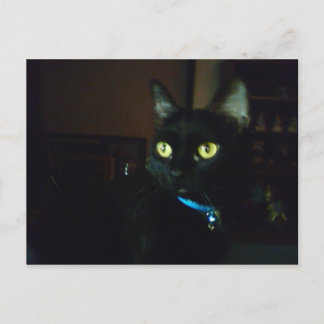 Halloween Eyes Briefkaart