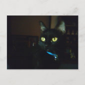 Halloween Eyes Briefkaart (Voorkant)