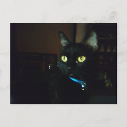 Halloween Eyes Briefkaart (Voorkant)