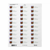 Halloween Fairy Mailing Labels (Full Sheet)