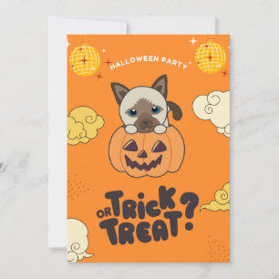 Halloween Feest Trick Or Treat Siamese Kat Pompelm Feestdagenkaart