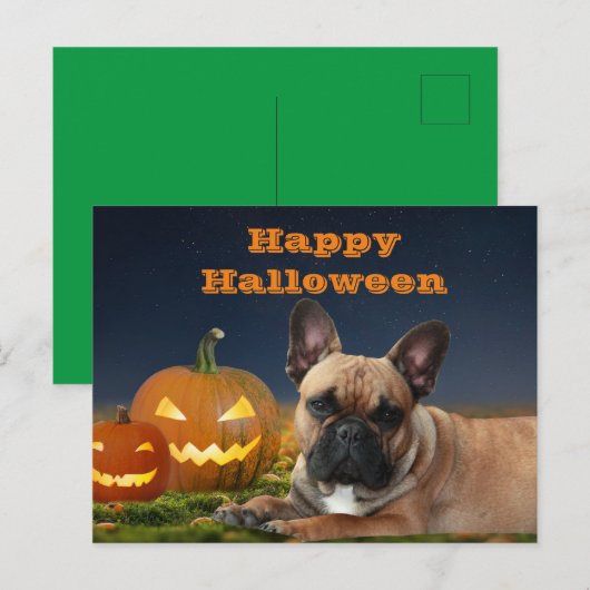 Halloween französische Bulldogge French Bulldog Briefkaart (Voorkant / Achterkant)
