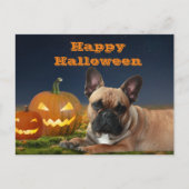 Halloween französische Bulldogge French Bulldog Briefkaart (Voorkant)