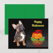 Halloween französische Bulldogge Postkarte Briefkaart (Voorkant / Achterkant)