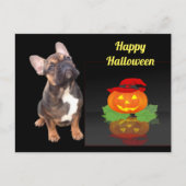 Halloween französische Bulldogge Postkarte Briefkaart (Voorkant)