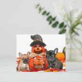 Halloween French Bulldogs Briefkaart (Staand voorkant)