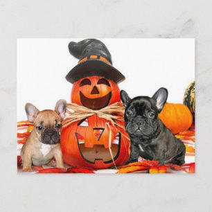 Halloween French Bulldogs Briefkaart