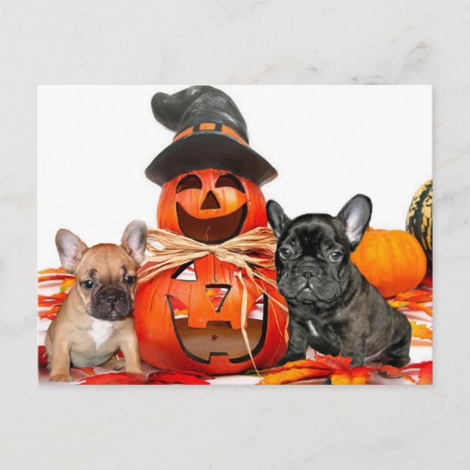 Halloween French Bulldogs Briefkaart (Voorkant)