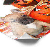 Halloween French Bulldogs Foto Afdruk (Hoek)
