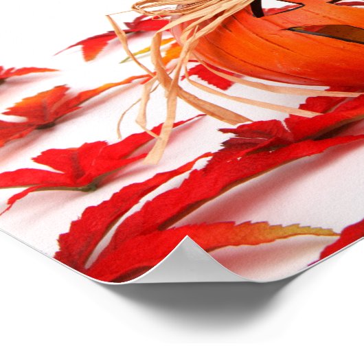 Halloween Fun Poster (Hoek)