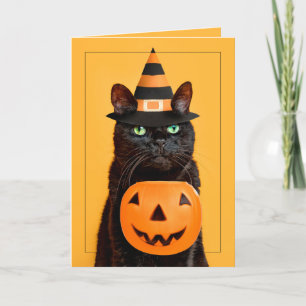 Halloween Funny Black Cat in het Pet van de heks Feestdagen Kaart