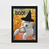 Halloween Funny Puppy Witch Wenskaart Kaart (Voorkant)