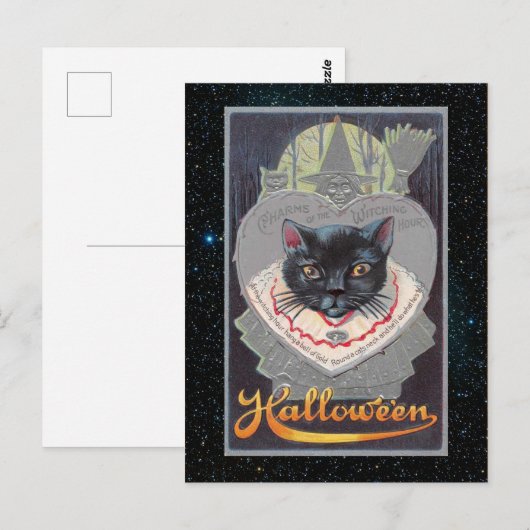  Halloween Funnycat illustratie Briefkaart (Voorkant / Achterkant)