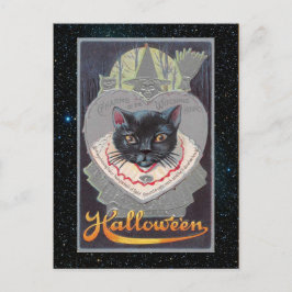 Halloween Funnycat illustratie Briefkaart