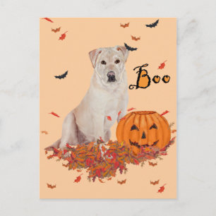 Halloween Gele Labrador Retriever Briefkaart
