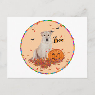 Halloween Gele Labrador Retriever Briefkaart
