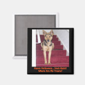 Halloween German Shepherd Dog No Treatment Magneet (Voorkant / Achterkant)