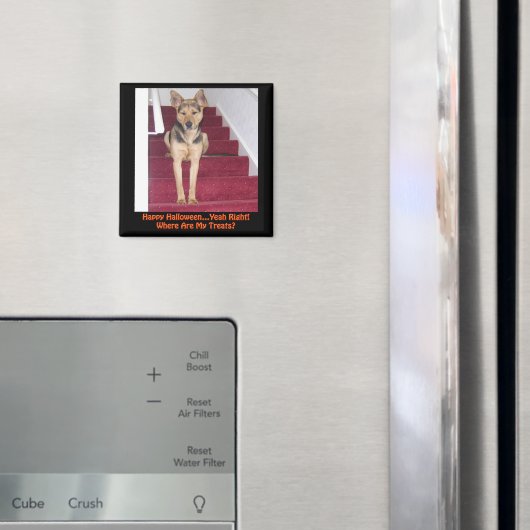 Halloween German Shepherd Dog No Treatment Magneet (Insitu (Koelkast))