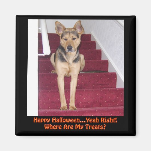 Halloween German Shepherd Dog No Treatment Magneet (Voorkant)