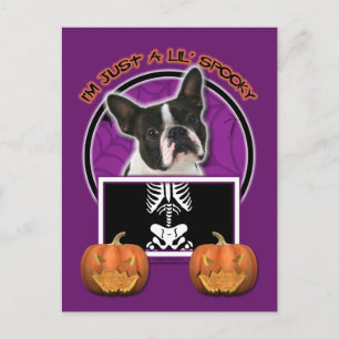 Halloween - Gewoon een Lil Spooky - Boston Terrier Briefkaart
