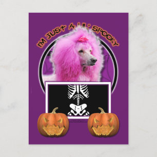 Halloween - Gewoon een Lil Spooky - Podle - Roze Briefkaart
