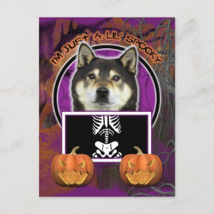 Halloween - Gewoon een Lil Spooky - Shiba Inu - Ya Briefkaart