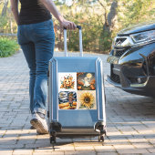 Halloween, Ghost, Jack-O-Lantern, Scarecrow,  Sticker (Koffer Insitu)