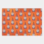 Halloween Gnome Inpakpapier Vel (Voorkant 3)