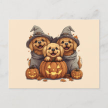 Halloween Golden Retriever Honden Jack O Lantern