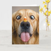 Halloween Golden Retriever Met Candy Corn Kaart (Gele Bloem)